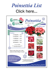 Poinsettia List